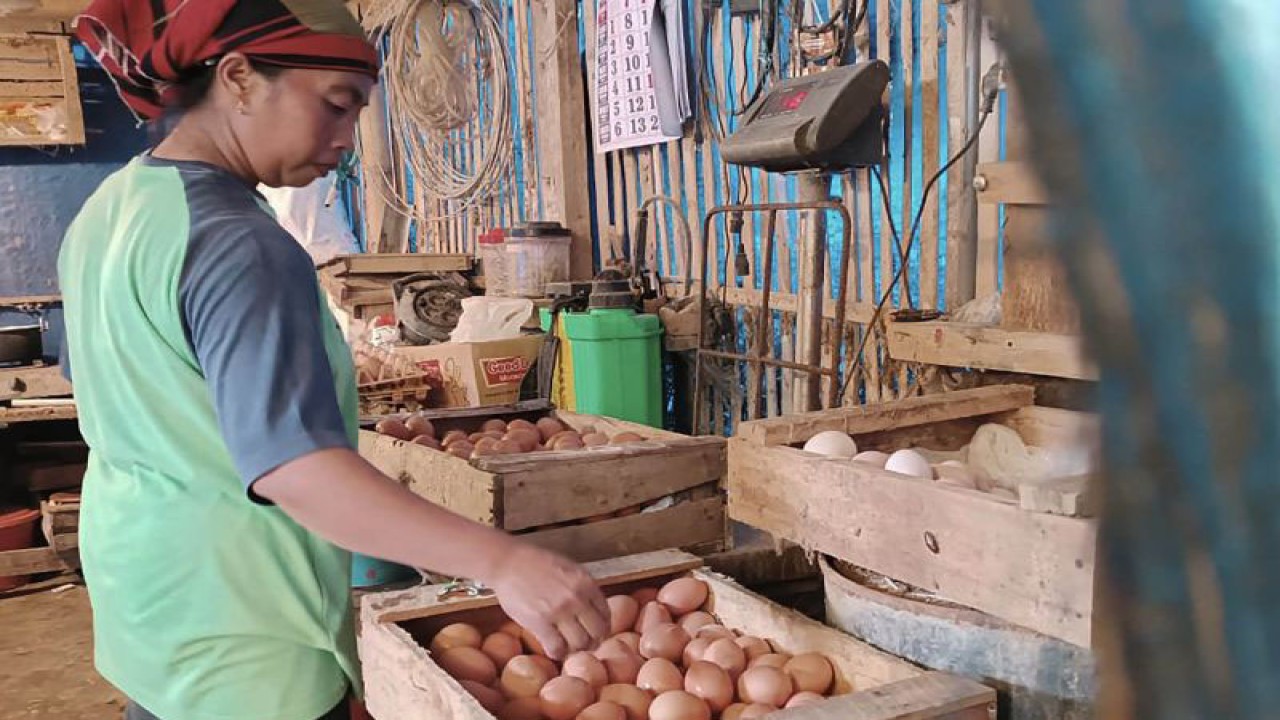 Foto arsip. Pekerja menata telur ayam ras di sentra peternakan ayam petelur di Kelurahan Wonokoyo, Kecamatan Kedungkandang, Kota Malang, Jawa Timur, Selasa (9/5/2023).  (ANTARA/Vicki Febrianto)