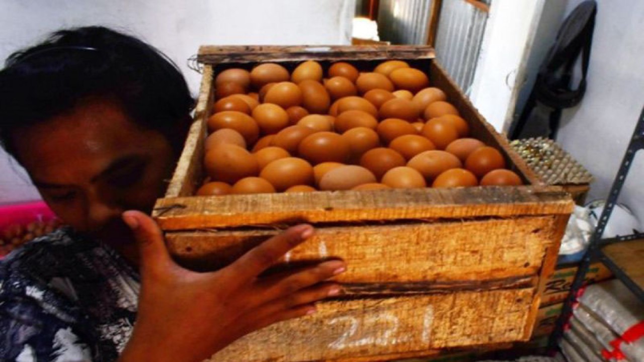Arsip - Harga Telur Naik di Madiun. Pekerja memanggul telur ayam ras yang dijual di Pasar Sayur Caruban, Kabupaten Madiun, Jawa Timur, Rabu (25/5/2022). Harga telur ayam ras di pasar tersebut naik dari Rp25.000 menjadi Rp27.000 per kilogram dikarenakan menurunnya produksi telur yang disebabkan kenaikan harga pakan dan meningkatnya permintaan pasar. ANTARA Jatim/Siswowidodo/zk