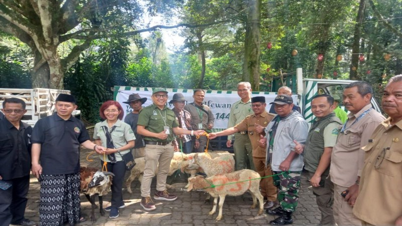 General Manager Taman Safari Bogor Emeraldo Parengkuan menyerahkan hewan kurban di Desa Cibeureum, Cisarua, Kabupaten Bogor, Jawa Barat, Senin (26/6/2023). (ANTARA/HO-Taman Safari Bogor)