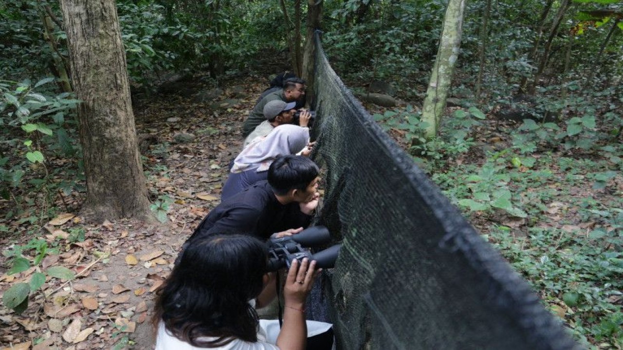 Wisatawan mengamati burung di Taman Wisata Alam (TWA) Kerandangan yang masuk dalam kawasan Desa Wisata Senggigi di Lombok Barat. (ANTARA/Kemenparekraf)