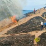 Upaya pemadaman api di Bukit Sylvia Labuan Bajo, Manggarai Barat, NTT, Senin (22/8/2022). (FOTO ANTARA/HO-Dokumentasi Pribadi)-1686293234
