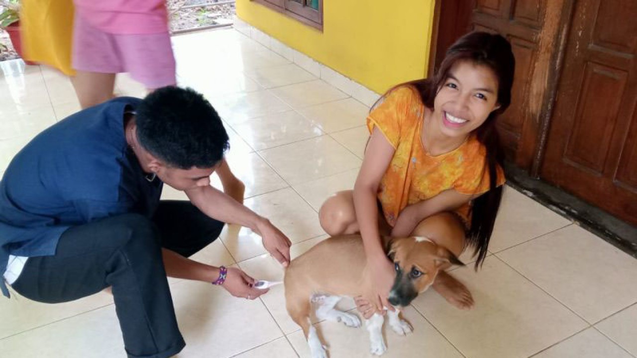 Warga Kota Kupang, Provinsi Nusa Tenggara Timur melakukan vaksinasi antirabies secara mandiri terhadap hewan peliharaan sebagai antisipasi penyakit rabies. (ANTARA/Benny Jahang)