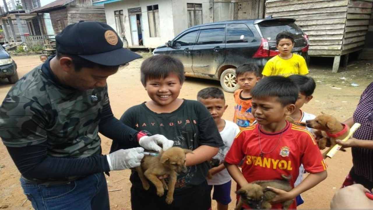 Pelaksanaan vaksinasi anti-rabies pada anjing peliharaan warga di Kalimantan Barat. (ANTARA/Dedi)