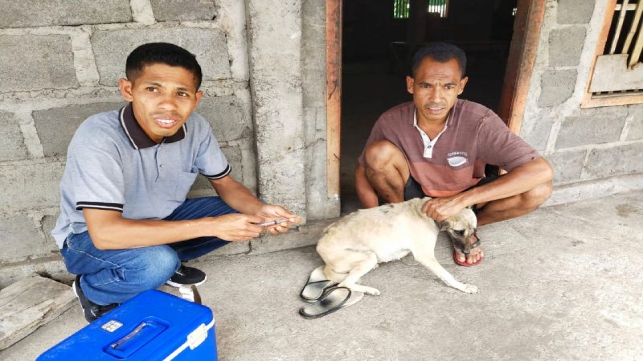 Vaksinasi rabies di Desa Jawapogo, Kabupaten Nagekeo, NTT, Senin (5/6/2023). (FOTO ANTARA/HO-Dinas Peternakan Kabupaten Nagekeo)