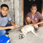 Vaksinasi rabies di Desa Jawapogo, Kabupaten Nagekeo, NTT, Senin (5/6/2023). (FOTO ANTARA/HO-Dinas Peternakan Kabupaten Nagekeo)-1685960947
