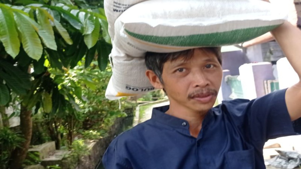 Seorang warga Rangkasbitung, Kabupaten Lebak, Banten menyunggi beras yang diterima di Kantor Kelurahan Muara Ciujung Timur, Rangkasbitung melalui program bantuan pangan digulirkan pemerintah pusat, Selasa (6/6/2023). ANTARA/Mansur