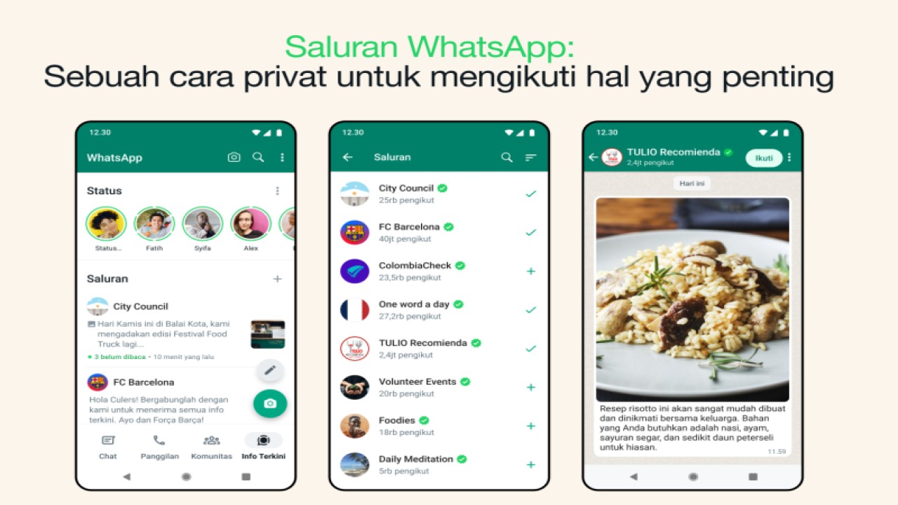 Ilustrasi tampilan fitur "Channel" yang baru hadir di WhatsApp. (ANTARA/HO/WhatsApp)