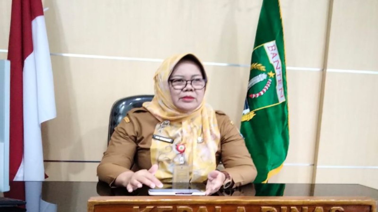 Kepala Dinas Ketahanan Pangan dan Penyuluh Provinsi Banten Aan Muawanah. FOTO ANTARA/dok.