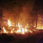 Arsip - Kebakaran hutan di Spanyol, Eropa selatan. (ANTARA/Xinhua)-1690181387
