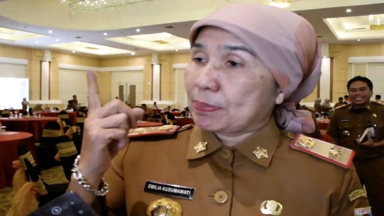 Arsip- Kepala Dinas Lingkungan Hidup Provinsi Lampung Emilia Kusumawati saat memberikan keterangan. ANTARA/Ruth Intan Sozometa Kanafi