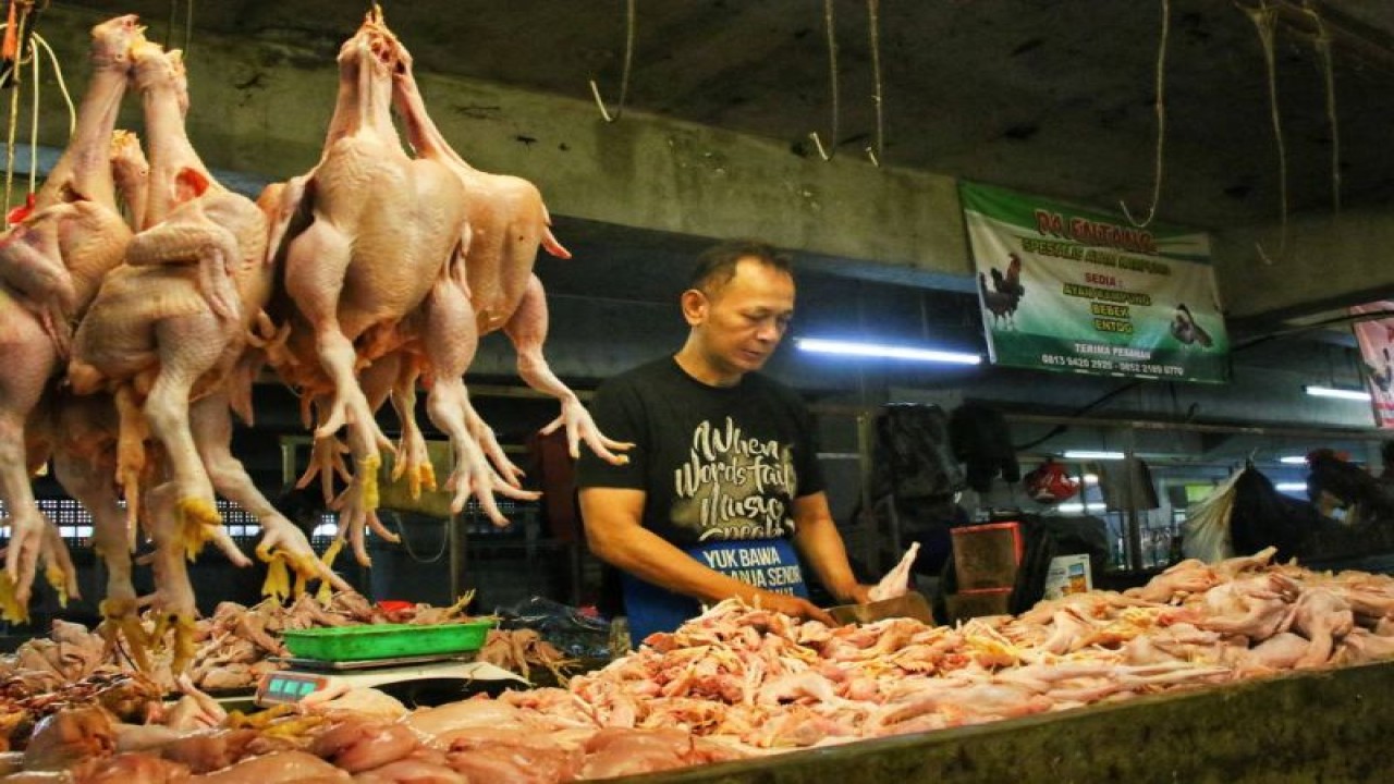 Pedagang ayam potong tengah melakukan aktivitas di salah satu pasar di Kota Bandung. (ANTARA/Istimewa)