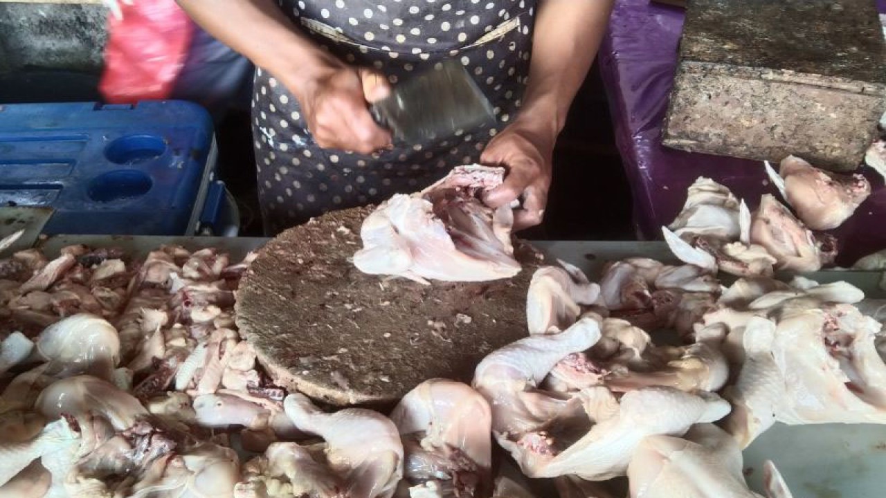 Pedagang memotong daging ayam di Pasar Batubulan, Kabupaten Gianyar, Bali, Rabu (5/7/2023). ANTARA/Dewa Ketut Sudiarta Wiguna