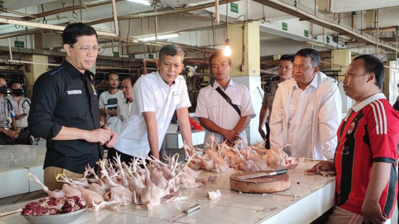 Anggota Komisi Komunikasi dan Edukasi Badan Perlindungan Konsumen Nasional (BPKN) Heru Sutadi saat berbincang dengan pedagang ayam potong di Pasar Kramat Jati, Jakarta Timur, Rabu (12/7/2023). ANTARA/Syaiful Hakim