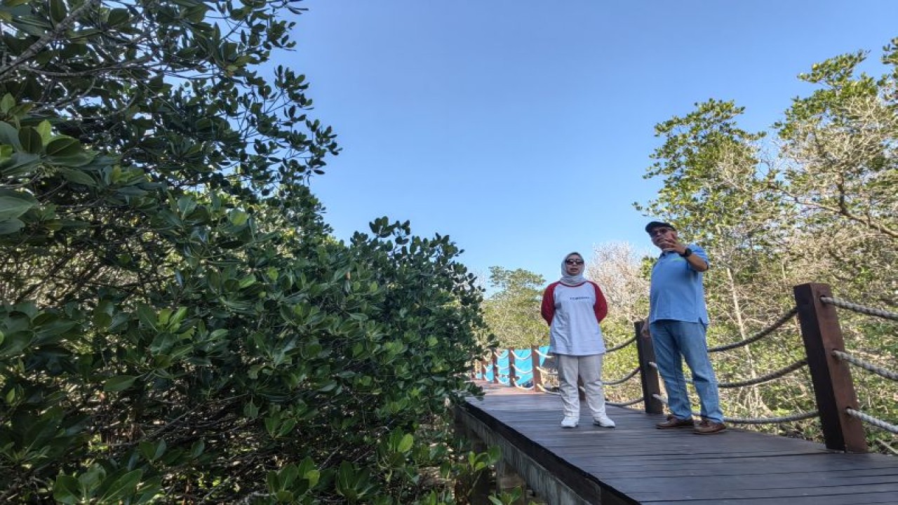 Direktur Kelautan dan Perikanan Bappenas Sri Yanti (kiri) bersama Direktur Eksekutif ICCTF Tony Wagey (kanan) mengunjungi kawasan mangrove yang memiliki menara pamantau wisatawan di Pulau Ceningan, Kabupaten Klungkung, Provinsi Bali, Selasa (27/6/2023). ANTARA/Sugiharto Purnama