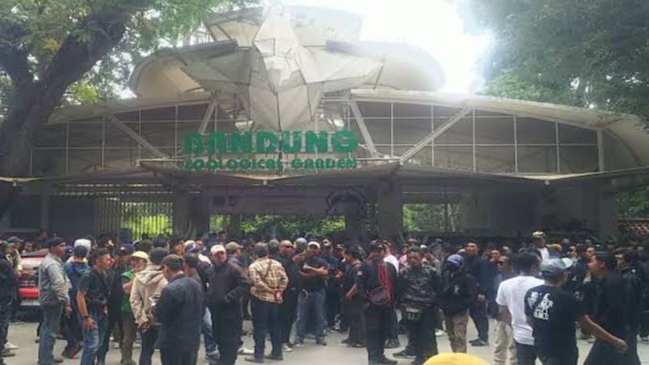 Massa berkumpul di Kebun Binatang Bandung, Kamis (27/7/2023). (ANTARA/Istimewa)