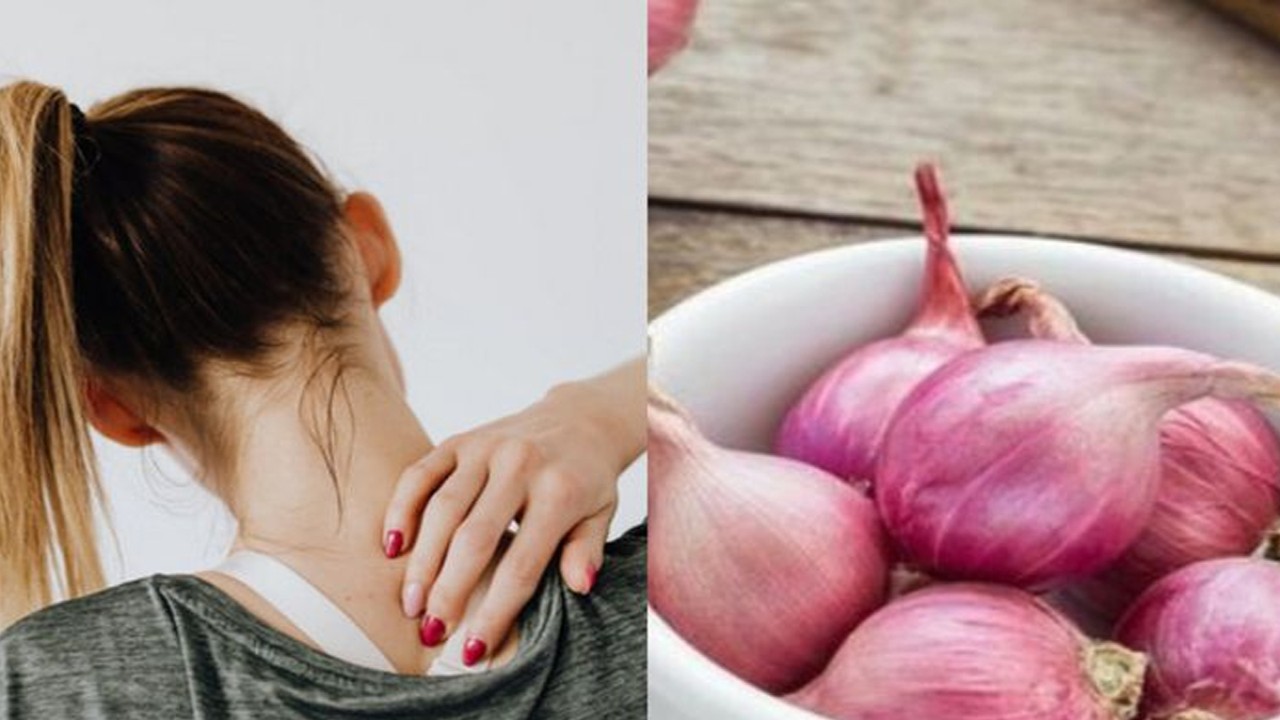 Manfaat bawang merah (net)