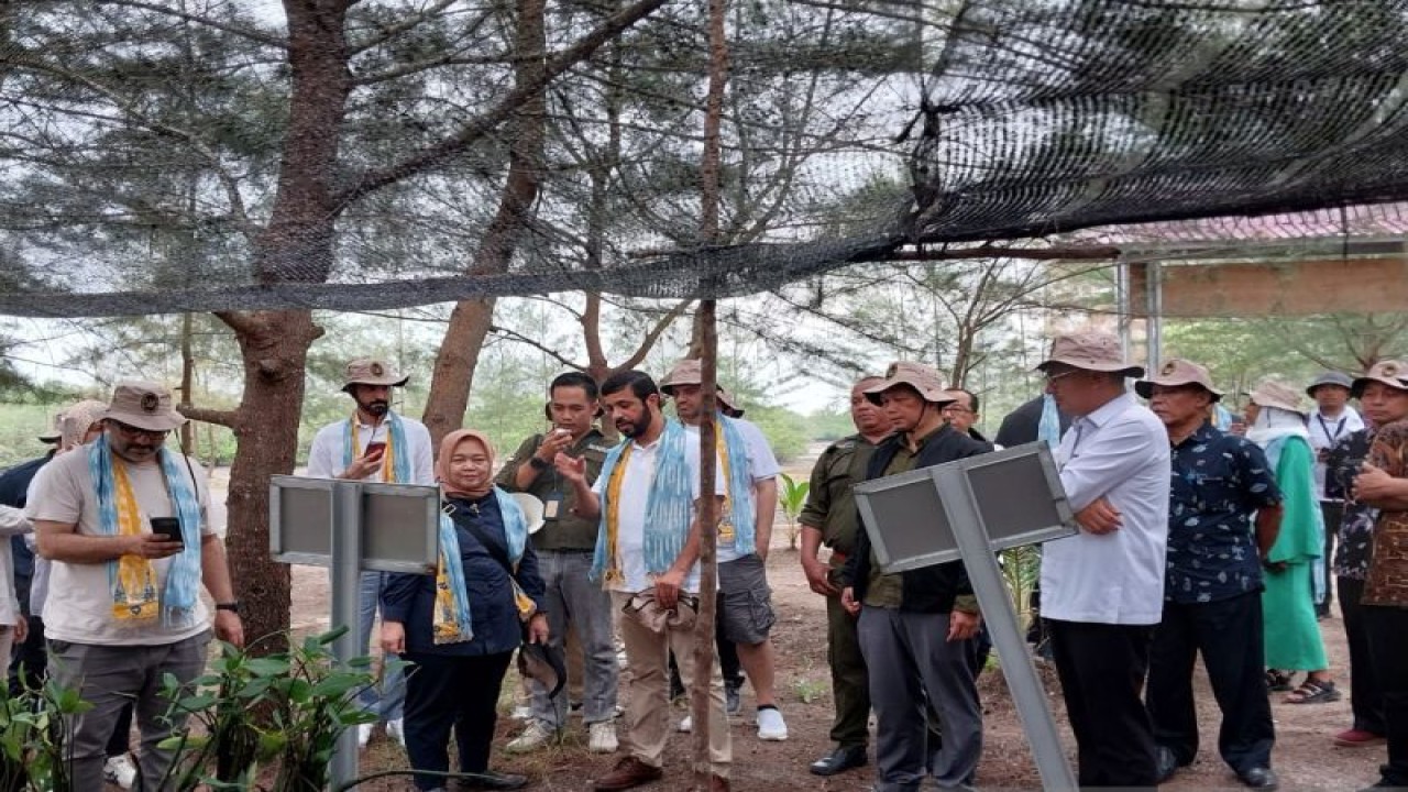 Delegasi UAE melakukan kunjungan ke Belitung dalam rangka melihat lokasi pembangunan Internasional Mangrove Research Centre di Hkm Seberang Bersatu, Belitung (ANTARA/Kasmono-Apriliansyah)