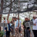 Belitung jadi lokasi  pusat penelitian mangrove kelas dunia-1689931398