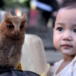 BKSDA Kalbar gagalkan perdagangan 63 ekor burung dilindungi-1690194184