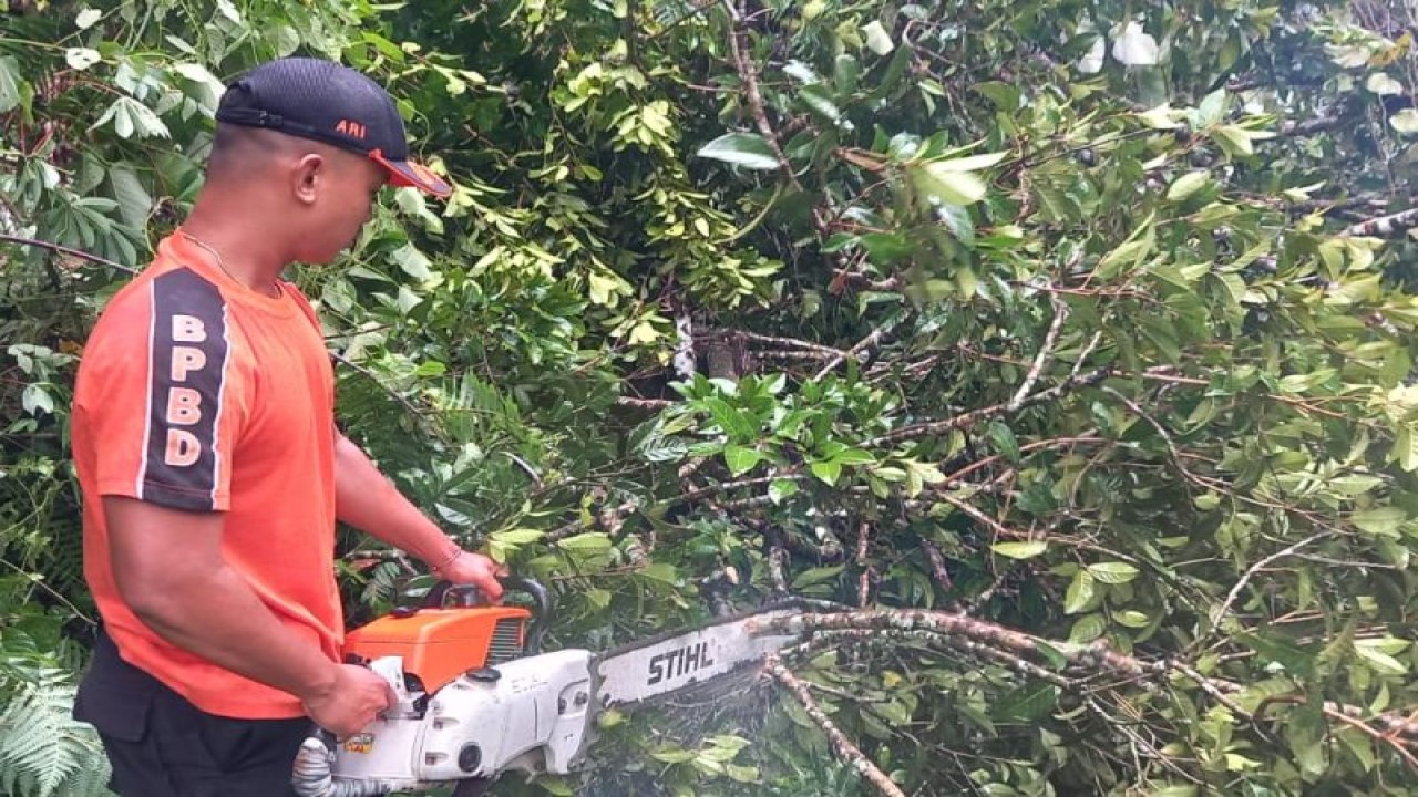 Anggota Satgas BPBD Agam sedang membersihkan pohon tumbang, Senin (10/7). Antara/HO-BPBD.
