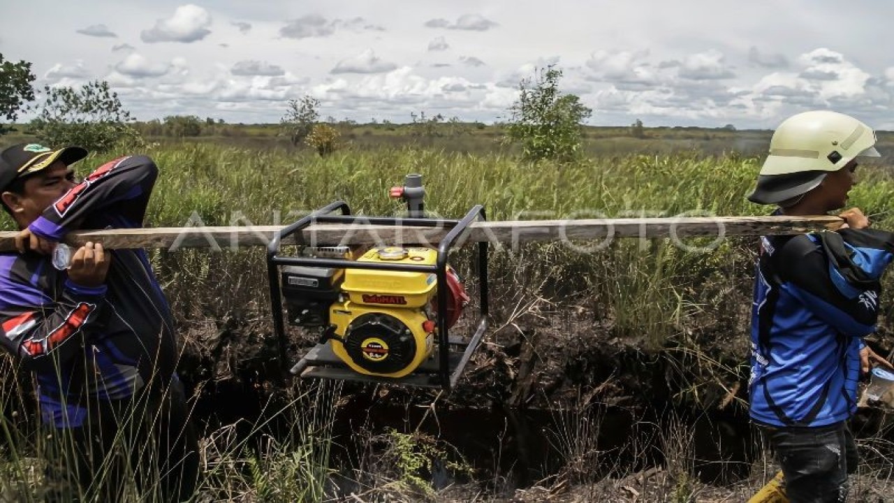 Arsip Foto - Relawan pemadam kebakaran membawa pompa air portable untuk melakukan proses pendinginan kebakaran hutan dan lahan (karhutla) gambut di kawasan Jalan Keranggan Ujung, Kalimantan Tengah, Sabtu (4/3/2023). (ANTARA/Makna Zaezar)