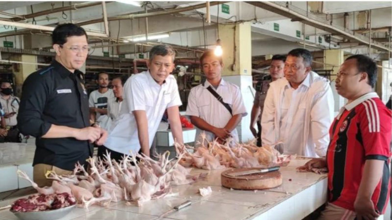 Anggota Komisi Komunikasi dan Edukasi Badan Perlindungan Konsumen Nasional (BPKN) Heru Sutadi saat berbincang dengan pedagang ayam potong di Pasar Kramat Jati, Jakarta Timur, Rabu (12/7/2023). ANTARA/Syaiful Hakim