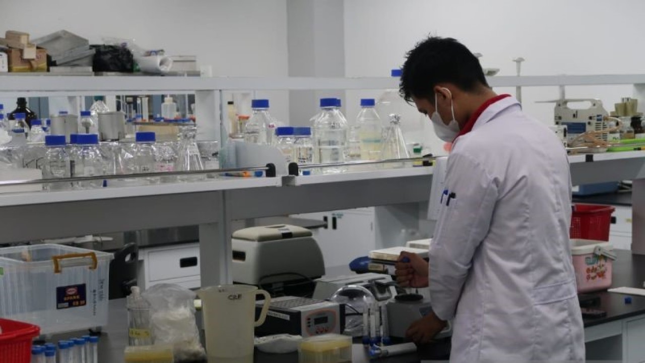 Periset BRIN sedang melakukan penelitian di Kawasan Sains dan Teknologi (KST) Soekarno yang berlokasi di Cibinong, Kabupaten Bogor, Jawa Barat, Rabu (5/7/2023). (ANTARA/Sugiharto Purnama)