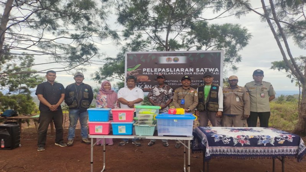 Acara pelepasliaran 114 satwa endemik Papua di kawasan Cagar Alam Pegunungan Cycloop di wilayah Kabupaten Jayapura, Provinsi Papua, Kamis (27/7/2023). (ANTARA/HO-Humas BBKSDA Papua)