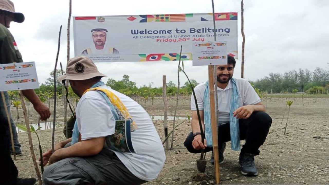 Delegasi Uni Emirate Arab melakukan kegiatan penanaman mangrove di Hkm Seberang Bersatu, Belitung, Provinsi Kepulauan Bangka Belitung (ANTARA/Kasmono-Apriliansyah)