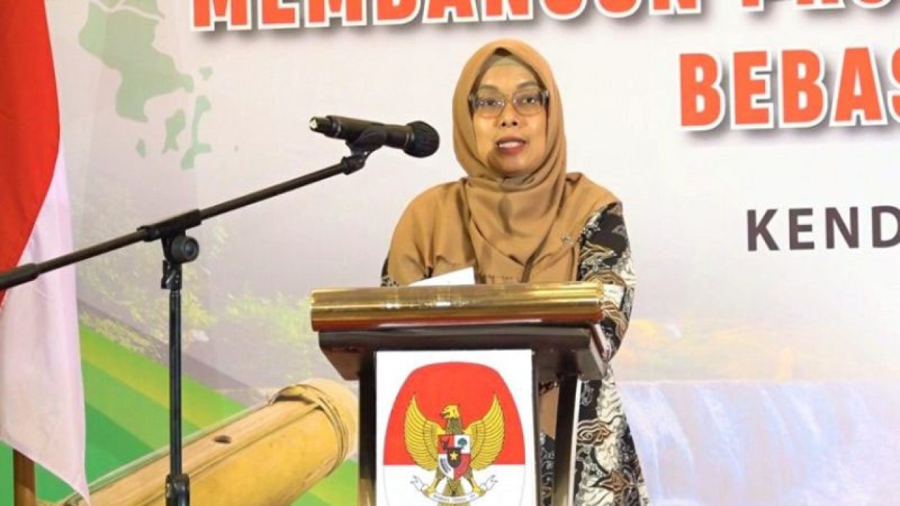 Plh Deputi KPK RI Bidang Pendidikan serta Peran Masyarakat, Dian Novianti , saat memberi pengarahan pada rangkaian Bimtek yang diselenggarakan KPK RI di salah satu hotel di Kendari, Selasa. (Foto ANTARA/Azis Senong)