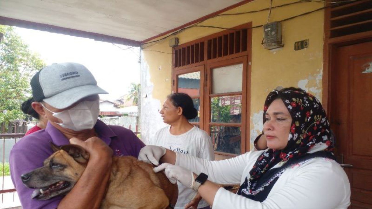 Dokter hewan Dara Keumala (kanan) melakukan suntik vaksin terhadap hewan peliharaan di Medan, Sumatera Utara, Rabu (26/7/2023). ANTARA/M Sahbainy Nasution