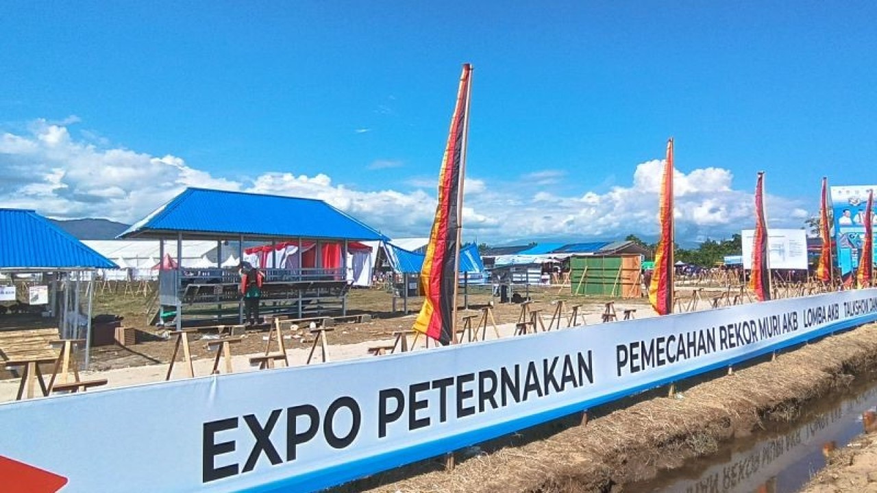 Expo Peternakan Penas Tani XVI di Sumbar ikut tampilkan sapi pesisir yang menjadi plasma nutfah Sumbar. (ANTARA/Miko Elfisha)