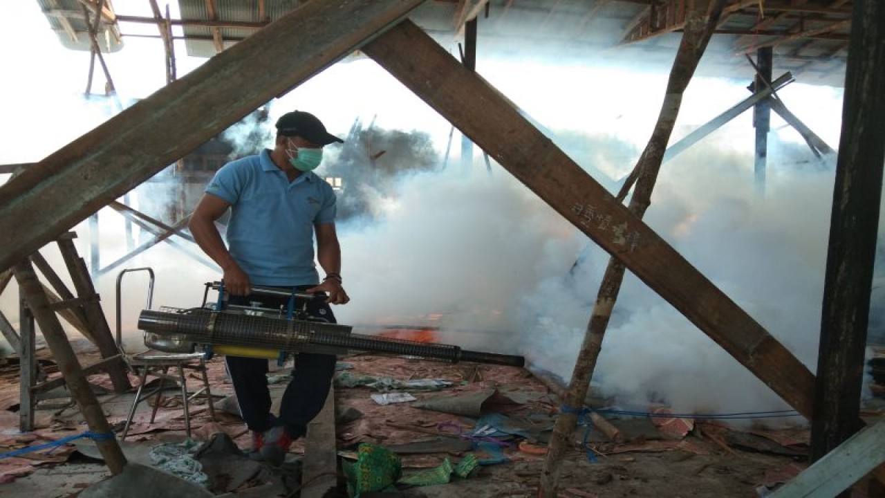 Arsip foto - Petugas melakukan pengasapan guna mencegah penyebaran nyamuk aedes aegypti di Palangka Raya, beberapa waktu lalu. (ANTARA/Rendhik Andika)