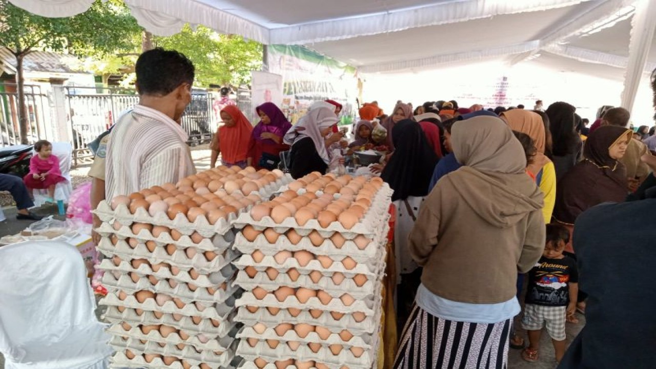 Pedagang telur dalam gerakan pangan murah (GPM) di Kota Mataram, Provinsi Nusa Tenggara Barat, Senin (22/6/2023). ANTARA/Nirkomala