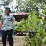 Gubernur Sulsel dorong masyarakat hijaukan lingkungan-1688544853