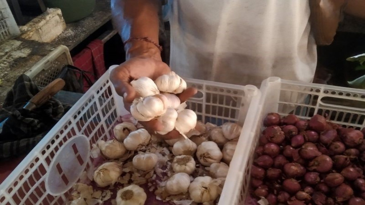 Pedagang menunjukkan bawang putih yang harganya tinggi hingga Rp55 ribu per kilogram di salah satu pasar di Kabupaten Gianyar, Bali, Selasa (11/7/2023) ANTARA/Dewa Ketut Sudiarta Wiguna
