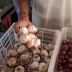 Harga bawang putih di Gianyar Bali capai hingga Rp55 ribu per Kg-1689064178