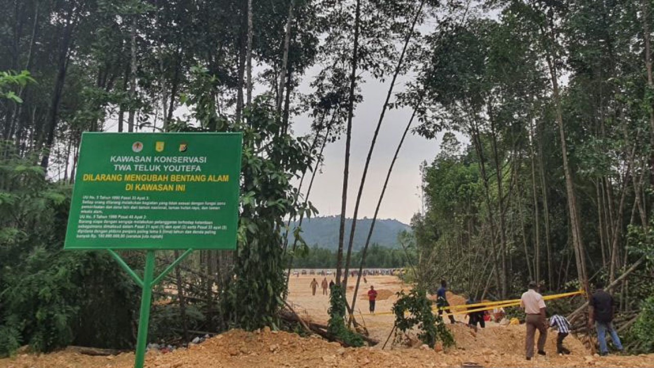Hutan bakau di kawasan Teluk Youtefa, yang menjadi aktifitas penimbunan bertempat di Kota Jayapura, Papua Selasa (11/7). (ANTARA/Qadri Pratiwi)