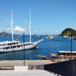 Ilustrasi - Kapal wisata yang berlabuh di Dermaga Marina Labuan Bajo, Manggarai Barat, NTT. (ANTARA/Fransiska Mariana Nuka)-1689161462