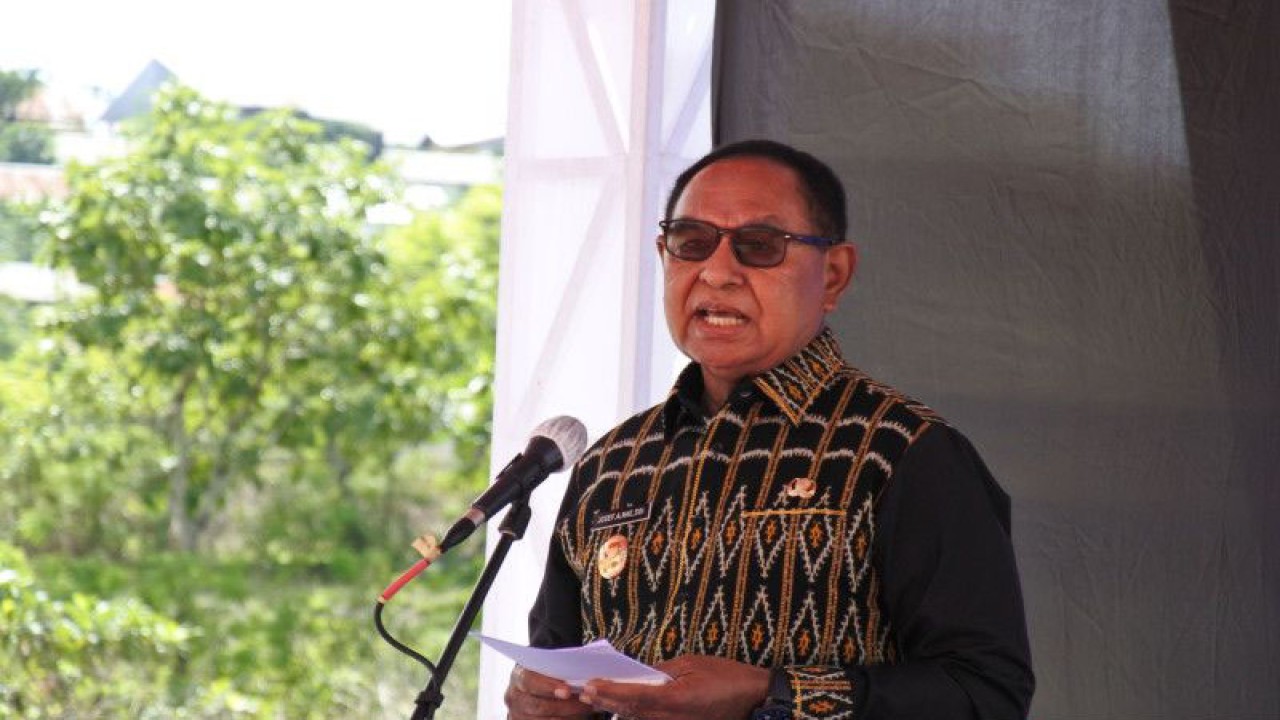 Wakil Gubernur Provinsi Nusa Tenggara Timur Josef Nae Soi (ANTARA/Benny Jahang)