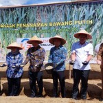 Kemenko Marves kerja sama produksi, pemasaran bawang di Sumut-1689231661