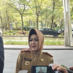 Kepala Dinas Kesehatan Provinsi Lampung Reihana. (ANTARA/Ruth Intan Sozometa Kanafi)-1688453849