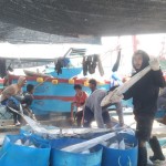 Kepala PPN Pengambengan sebut amdal perluasan rampung akhir Juli 2023-1689324323
