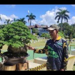 Ketua Pelaksana Kontes Bonsai Nasional Hendra (Antara/Aprionis)-1688455938