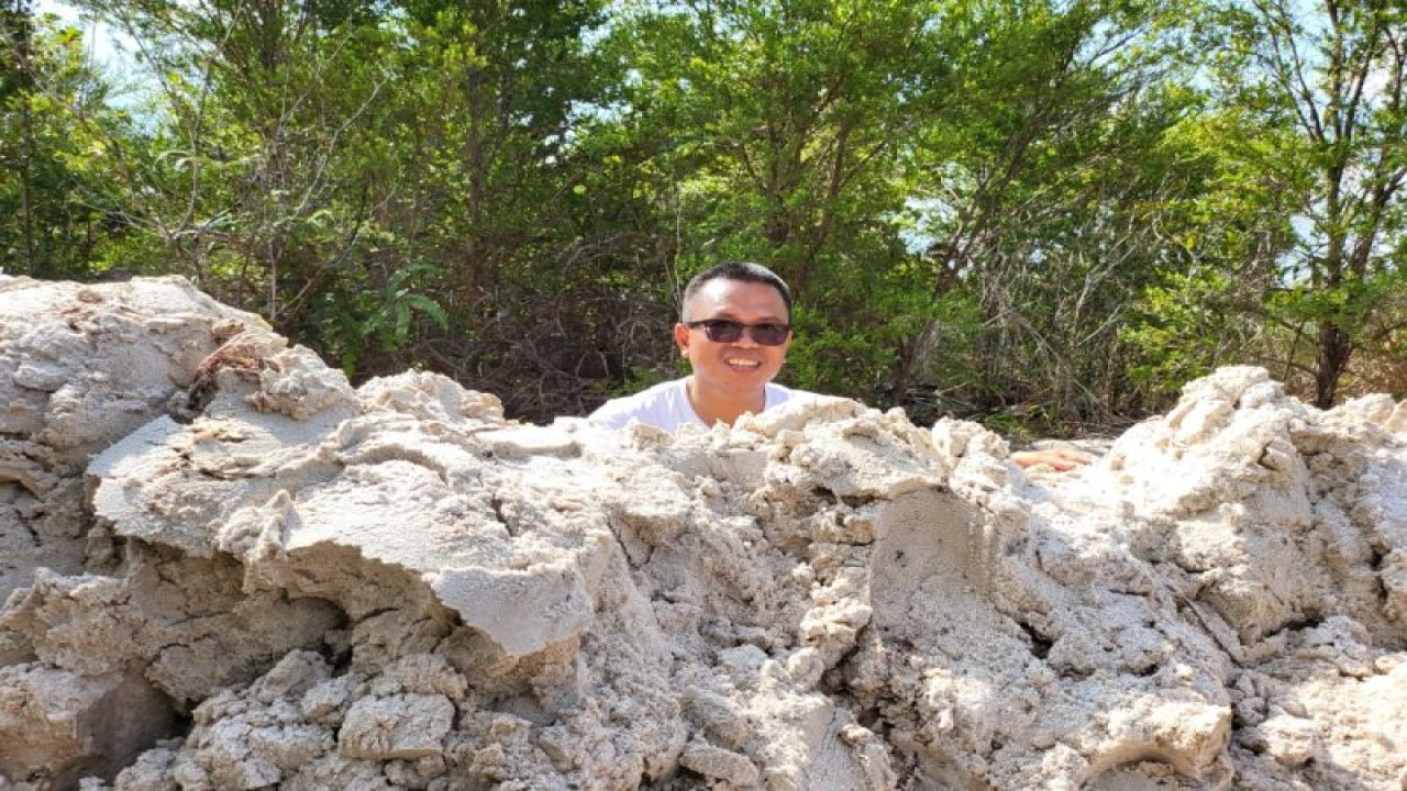 Ketua Umum Himpunan Penambang Kuarsa Indonesia (HIPKI), Ady Indra Pawennari. ANTARA/HO-Hipki.