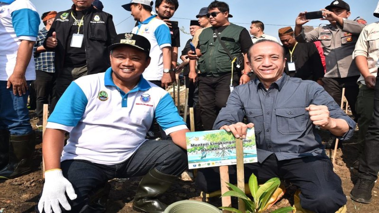 Sekretaris Jenderal Kementerian Lingkungan Hidup dan Kehutanan (KLHK) Bambang Hendroyono (kanan) bersama Wakil Gubernur Jawa Barat Uu Ruzhanul Ulum (kiri) melakukan penanaman bibit mangrove seluas dua hektare di Desa Benda, Kecamatan Karangampel, Kabupaten Indramayu, Jawa Barat, Sabtu (29/7/2023). (ANTARA/HO-Kementerian LHK)