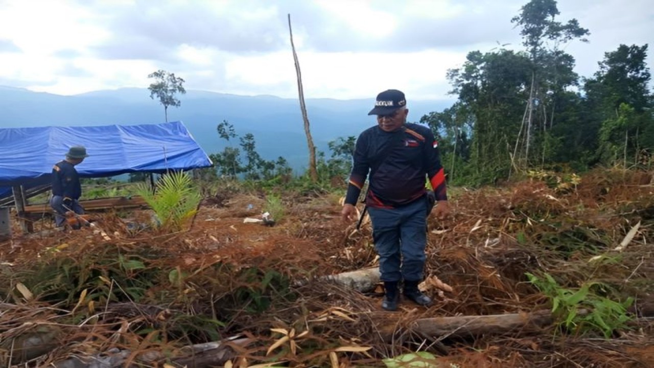 Petugas Gakkum KLHK melakukan olah kejadian perkara kasus perambahan hutan di Kabupaten Luwu Timur, Sulawesi Selatan. (FOTO ANTARA/HO-Kementerian LHK)