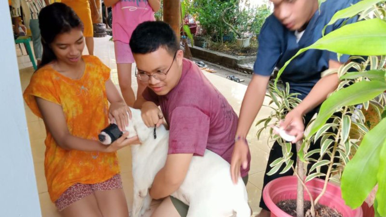 Ilustrasi: Masyarakat Kota Kupang Provinsi Nusa Tenggara Timur melakukan vaksinasi anjing peliharaan guna mencegah penularan penyakit rabies. (ANTARA/Benny Jahang)