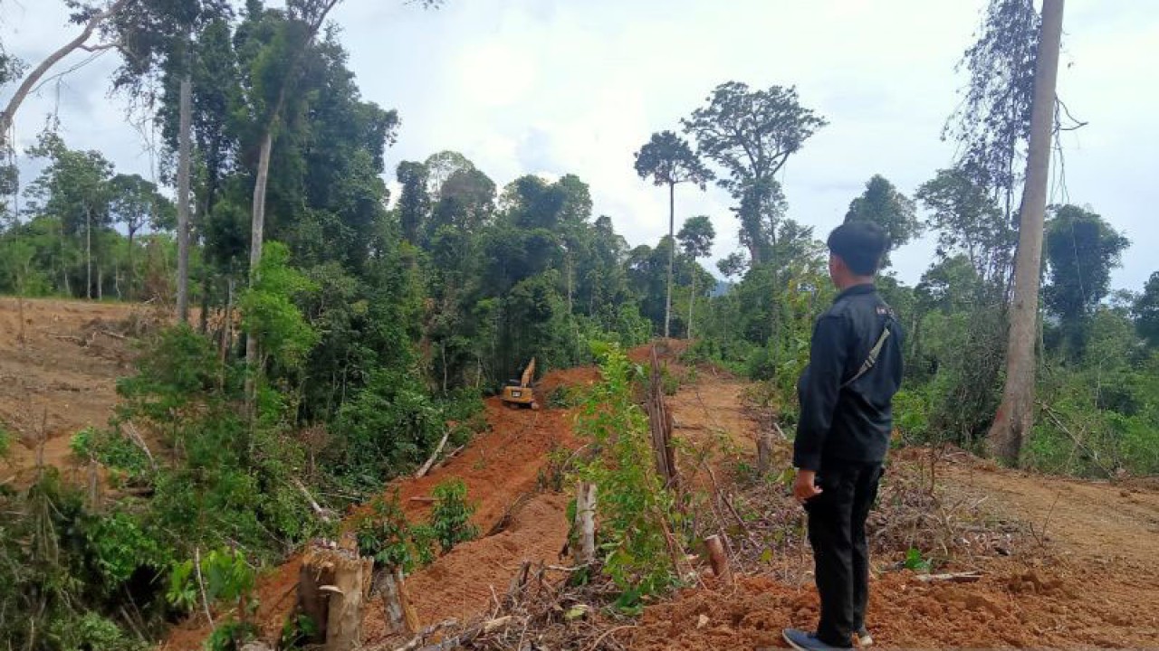 Lahan kawasan hutan di Kabupaten Mukomuko yang rusak akibat perambahan, Kamis (23/2/2023) ANTARA/Ferri.
