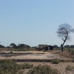 Lahan pertanian yang kering saat musim kemarau di NTT. (ANTARA/Aloysius Lewokeda)-1688460991